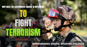 Diplomacy: A Government's Strategy to Fight Terrorism