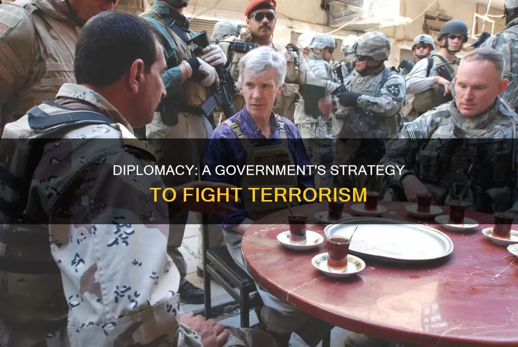 why does the government engage in diplomacy to fight terrorism