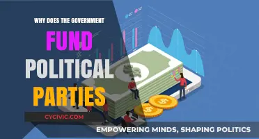 Why Governments Financially Support Political Parties: A Critical Analysis