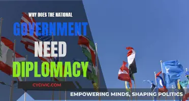 Diplomacy: A Tool for National Governments to Succeed Globally