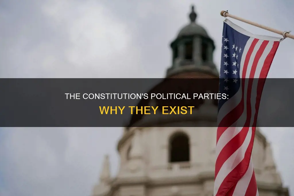 why does the us constitution have political parties