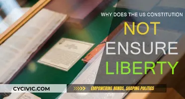 The US Constitution: Liberty's False Promise