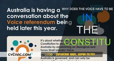 Voice in Constitution: Democracy's Vital Inclusion