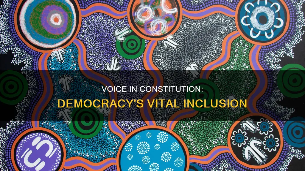 why does the voice have to be in the constitution