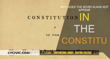 The Constitution's Omission of the Word "Slave": A Historical Mystery