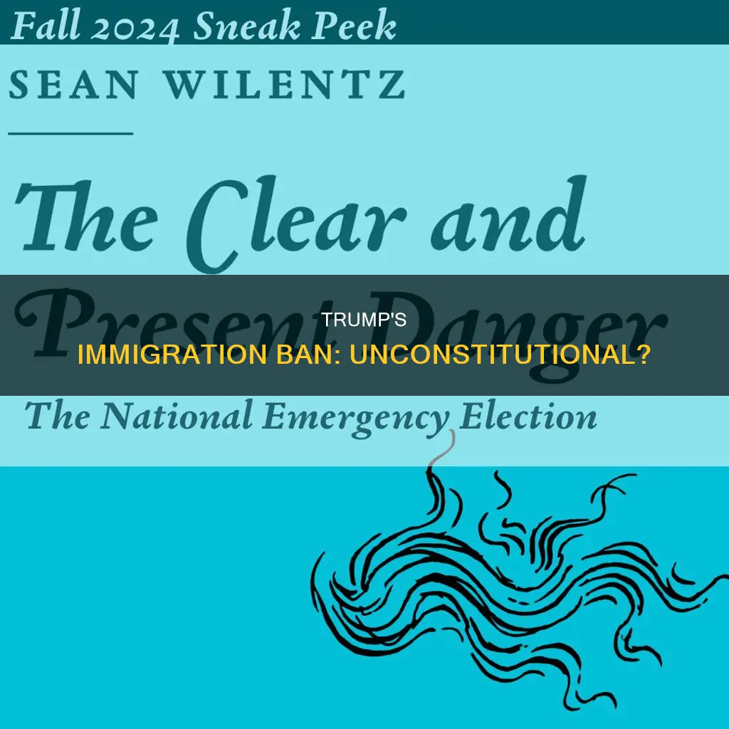 why does trump immigration ban violate the constitution