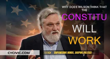 Wilson's Constitution: A Promise of Unity and Progress