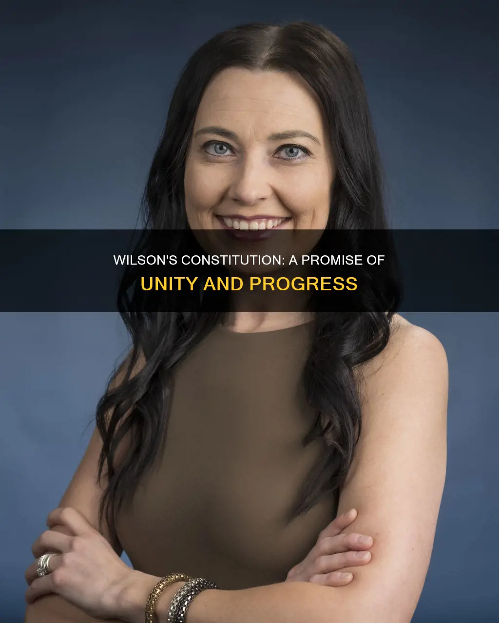 why does wilson think that the constitution will work