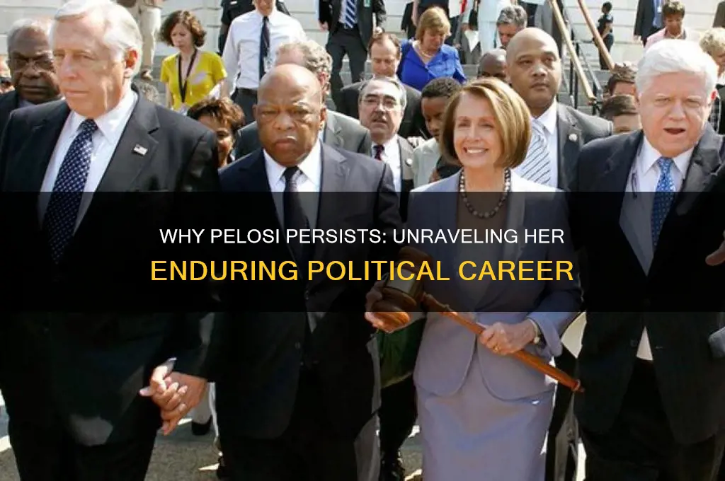 why doesnt pelosi quit politics