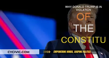 Trump's Constitutional Violations: A Clear and Present Danger