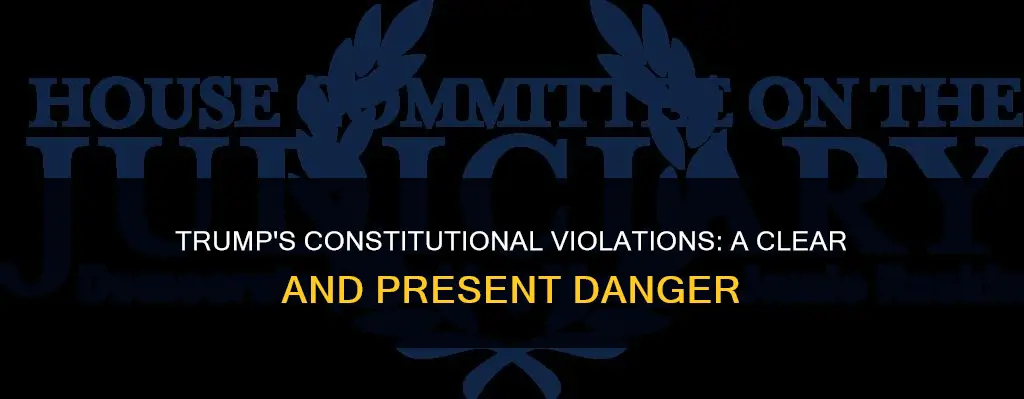 why donald trump is in violation of the constitution