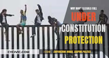 Illegals and the Constitution: Who's Protected?