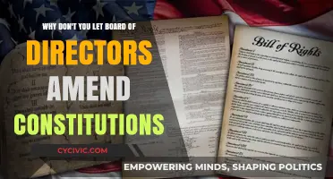 Directors: Power, but Not Constitution Amendments