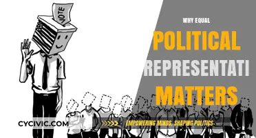 Equal Voices, Stronger Democracy: Why Political Representation Matters for All