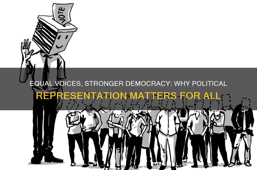 why equal political representation matters