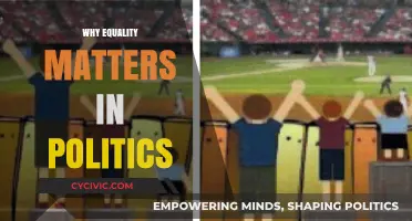 Equality in Politics: Why Fair Representation Shapes a Just Society