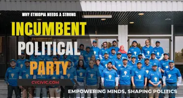 Ethiopia's Stability Hinges on a Robust Incumbent Political Party