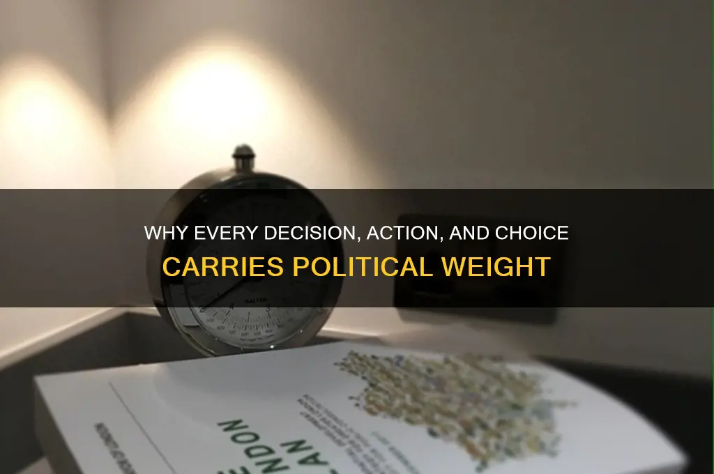 why everything is political