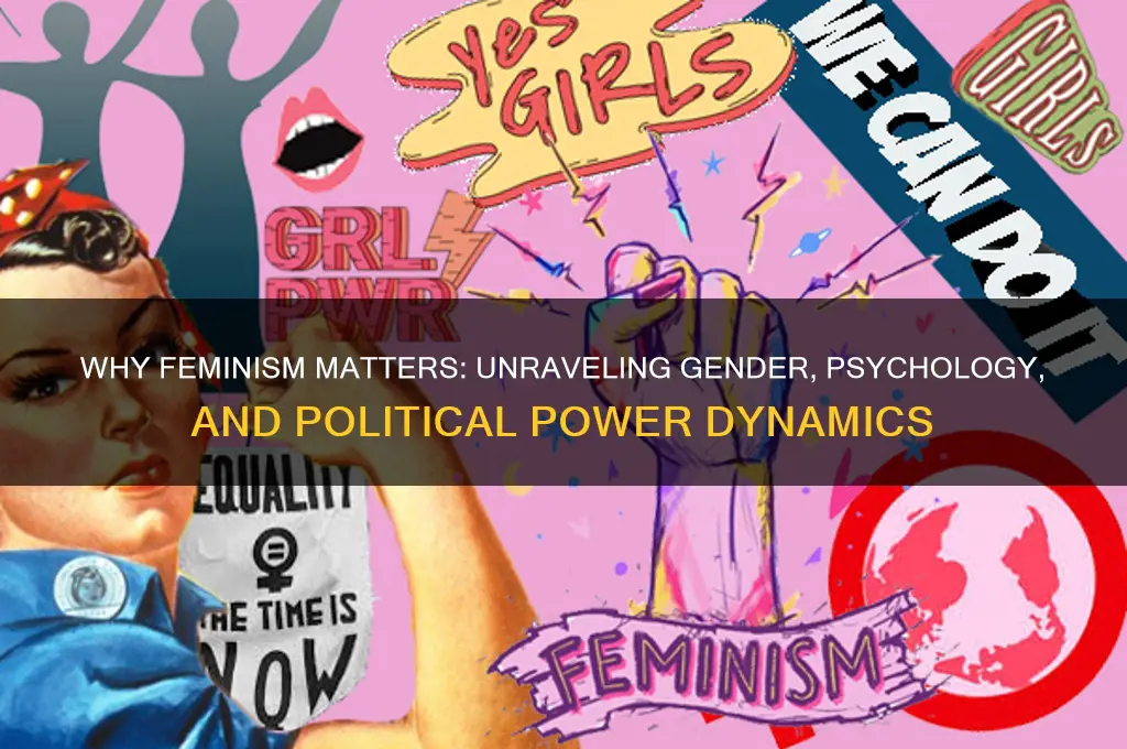 why feminism: gender psychology politics