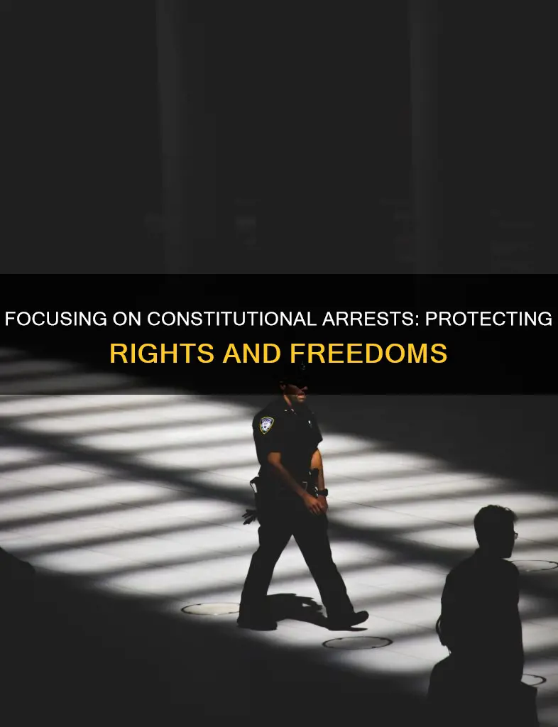 why focus attention on the constitutionality of arrests