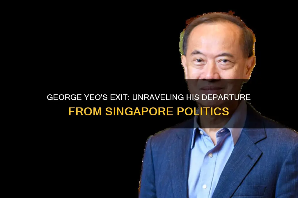why george yeo left politics