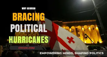 Georgia's Political Storm: Unraveling the Turbulent Forces Shaping Its Future