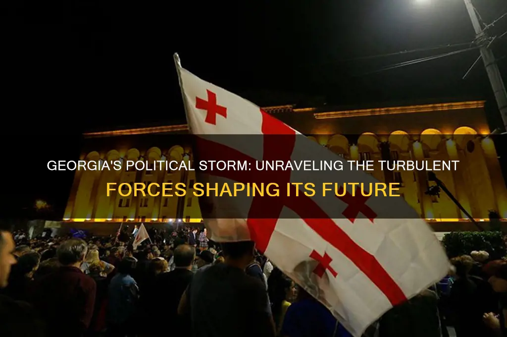 why georgia bracing political hurricanes