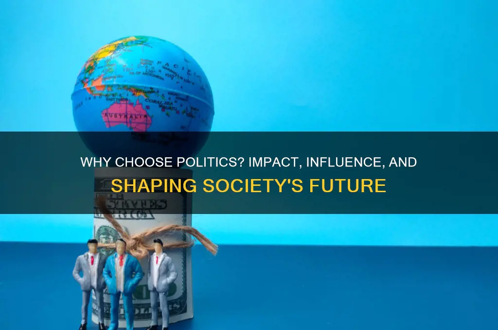 why go into politics