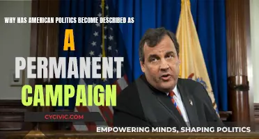 American Politics: A Permanent Campaign Culture