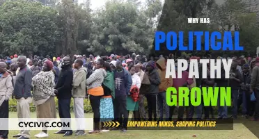 Rising Political Apathy: Causes, Consequences, and the Eroding Trust in Democracy