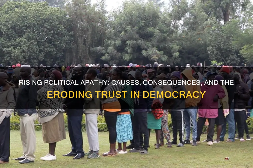 why has political apathy grown