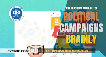 Social Media's Political Campaign Influence Explained