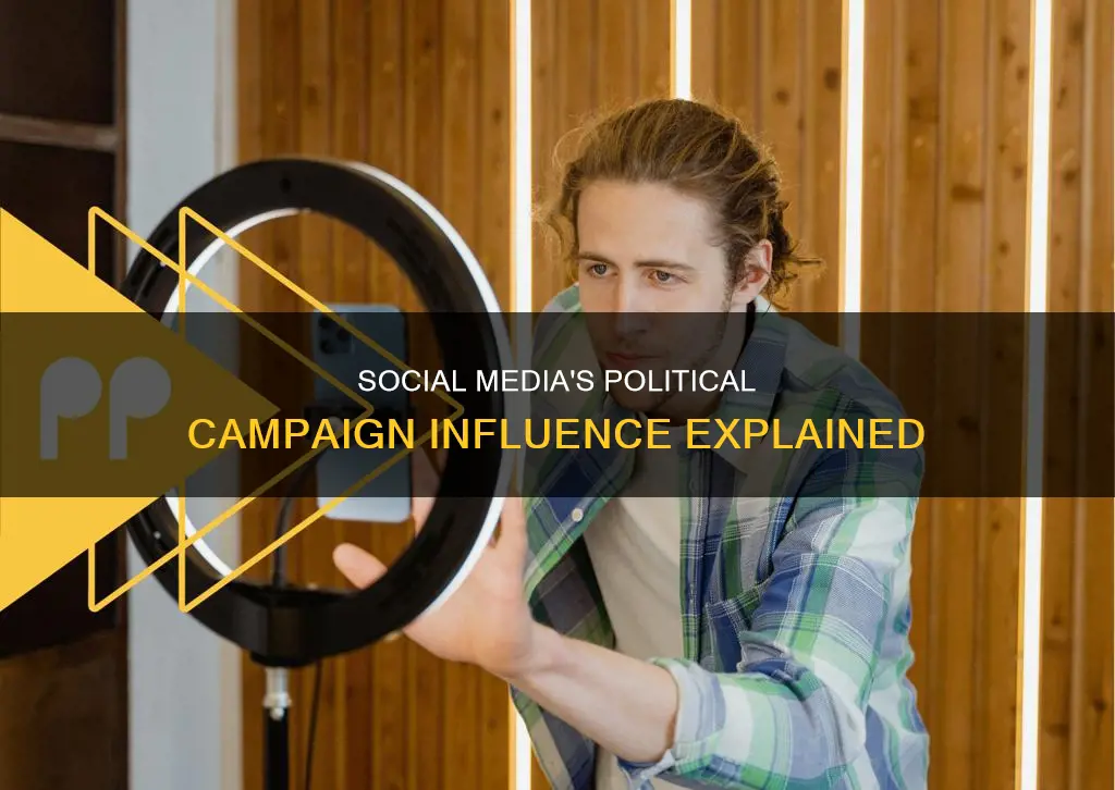 why has social media affect political campaigns brainly