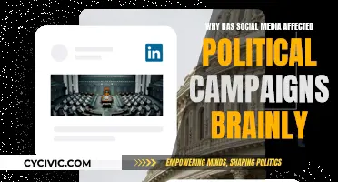 Social Media's Impact on Political Campaigns Explained