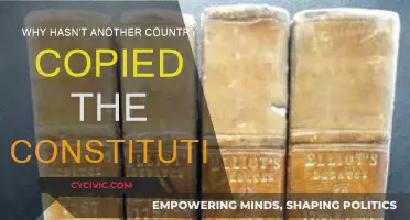 The Constitution: Why No Copycats?