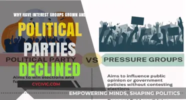 Interest Groups Rise, Political Parties Fade: Analyzing Shifting Power Dynamics
