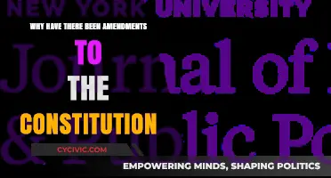 Amending the Constitution: Adapting to Change