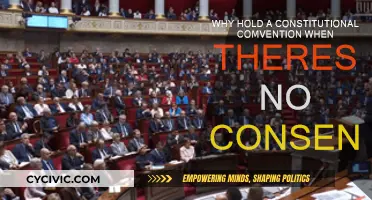 Constitutional Convention: Consensus or Unnecessary?