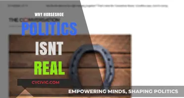 Debunking Horseshoe Theory: Why Extreme Left and Right Aren't Mirrored