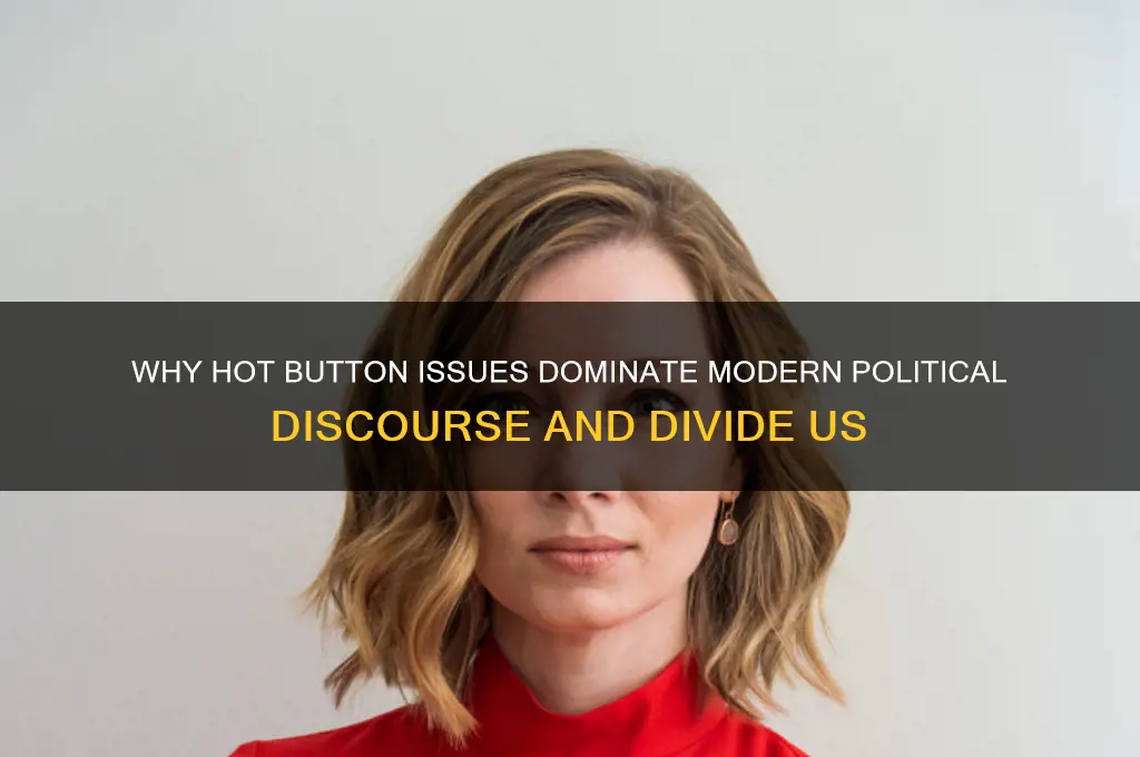 why hot button issue politics