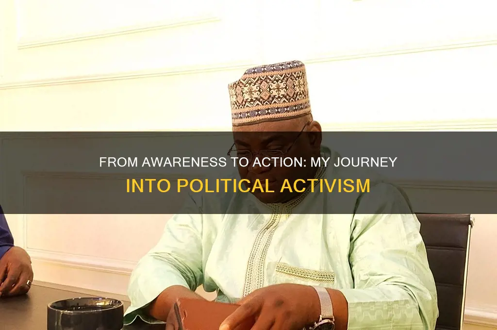 why i become political activist