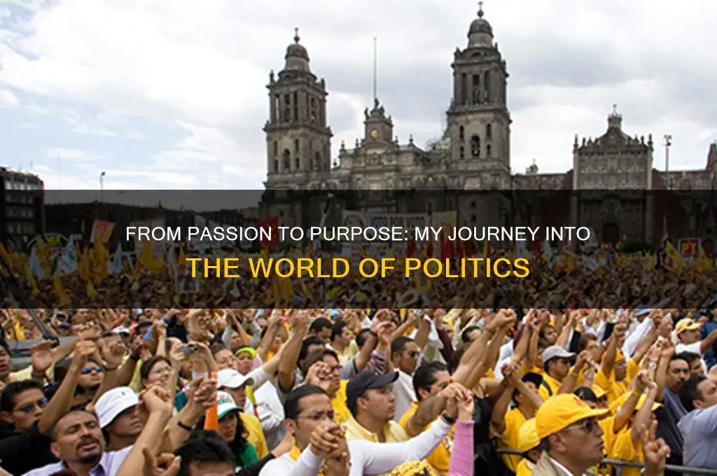 why i got into politics