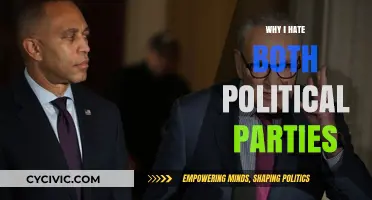 Why I Despise Both Political Parties: A Voter's Frustration