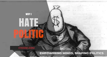 Why I Despise Politics: A Personal Rant on Corruption and Division
