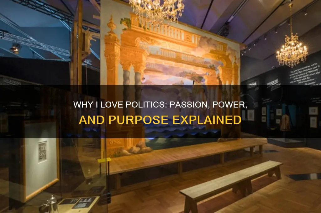 why i love politics essay