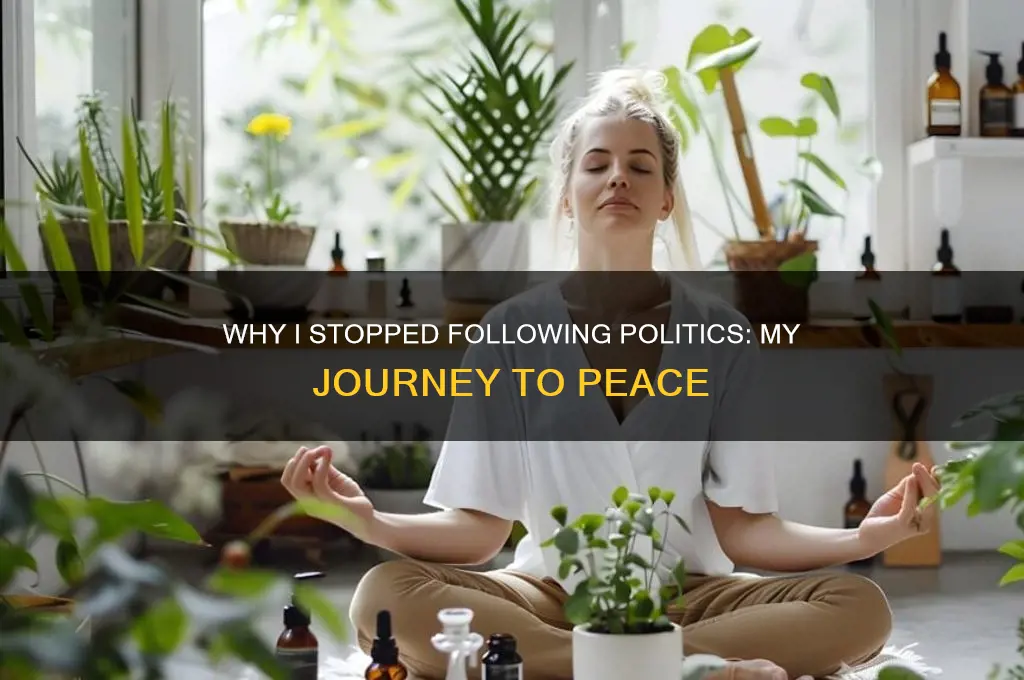 why i stopped following politics