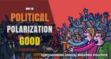 Political Polarization: Uniting Through Division for Stronger Democracy