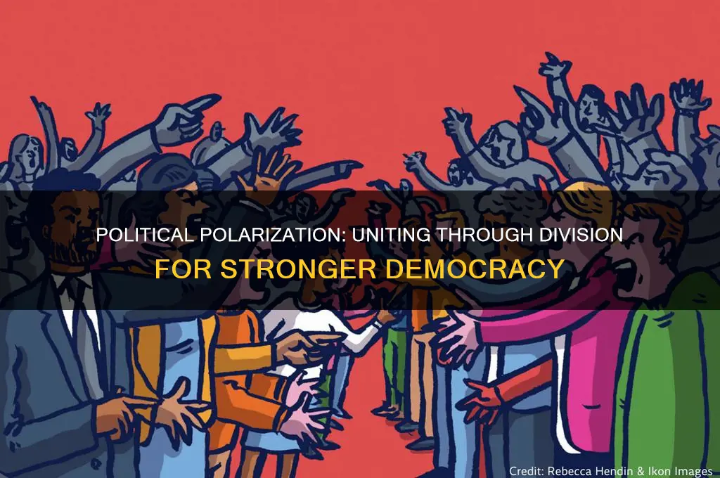 why id political polarization good