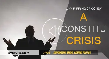 Comey's Firing: Constitutional Crisis or Political Storm?