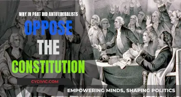 Antifederalists' Constitution Opposition: Roots in Liberty and Freedom